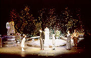 DISCOVER THE GARDEN